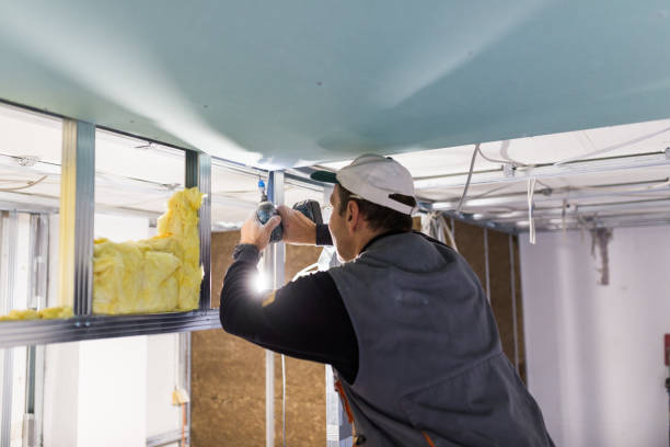 Types of Insulation We Offer in Bald Kno, AR