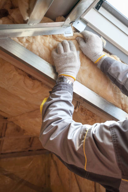 Best Spray Foam Insulation in Bald Kno, AR