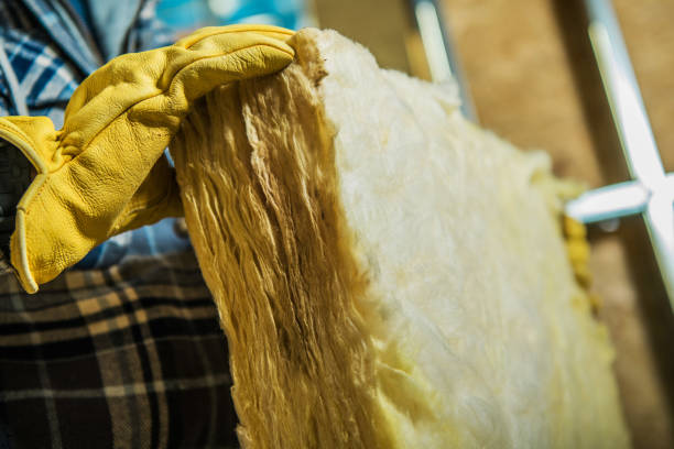 Best Blown-in Insulation in Bald Kno, AR