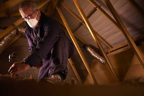 Best Spray Foam Insulation in Bald Kno, AR