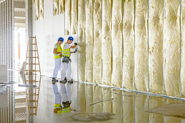 Best Spray Foam Insulation in Bald Kno, AR
